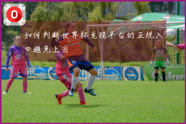 如何判断世界杯竞猜平台的正规入口避免上当